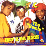 TLC - Hat 2 Da Back (Extended Remix)